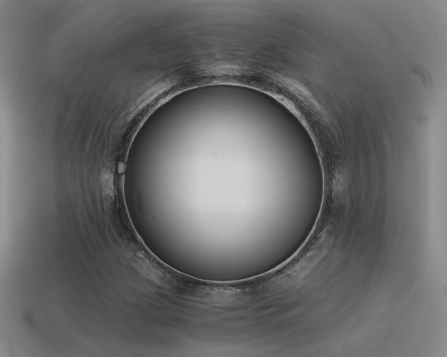 X0000115481209200911061210