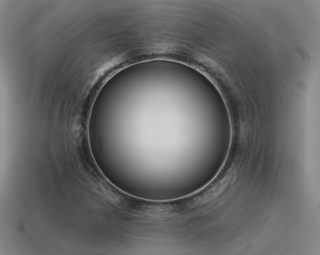 X0000115481210200911061211