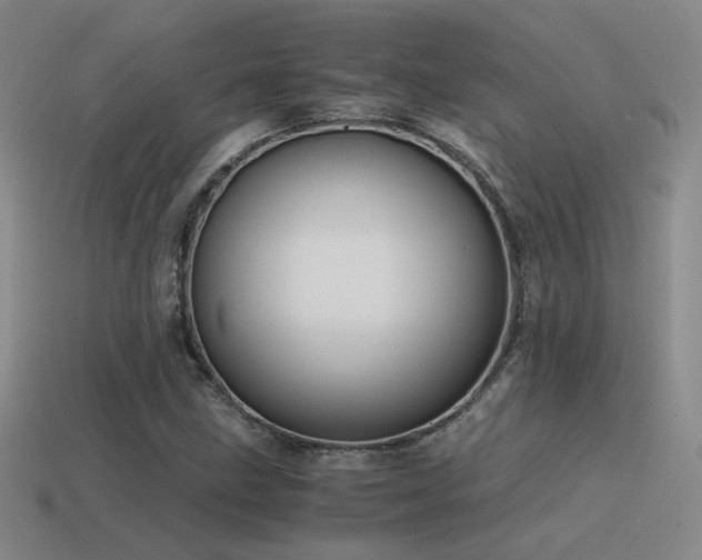 X0000115481211200911061211