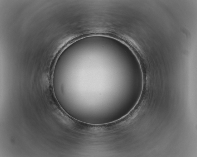 X0000115481212200911061211