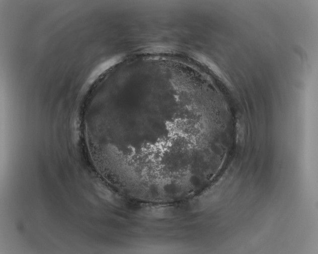 X0000115481213200911061211