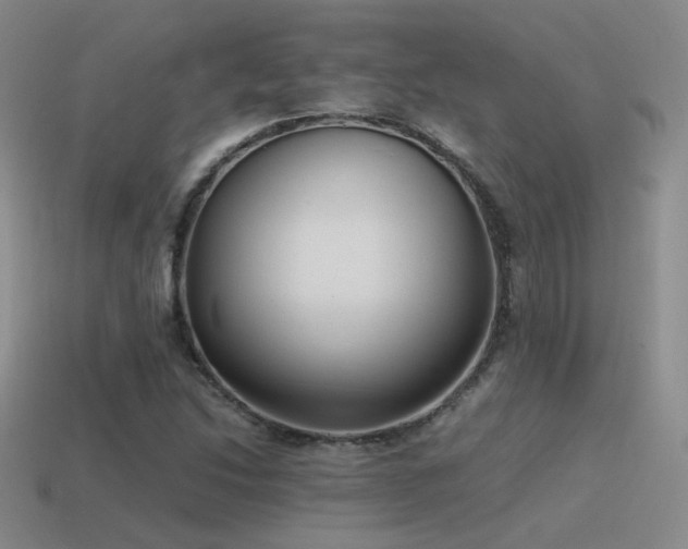 X0000115481214200911061211