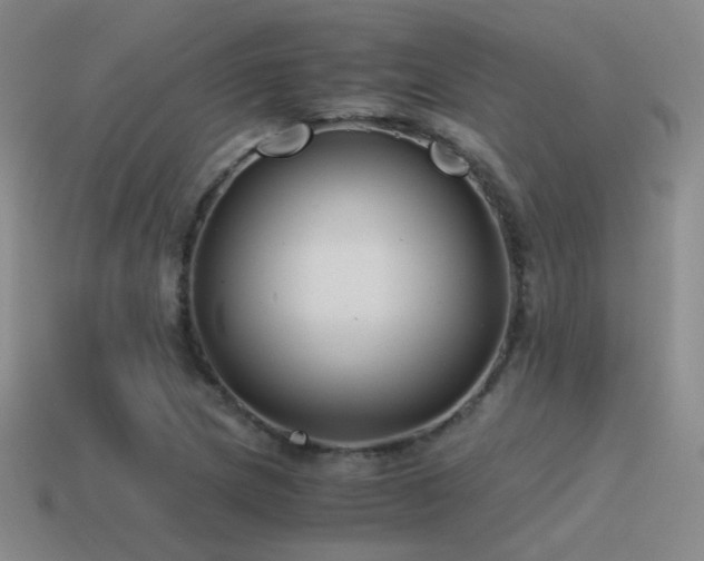 X0000115481217200911061211