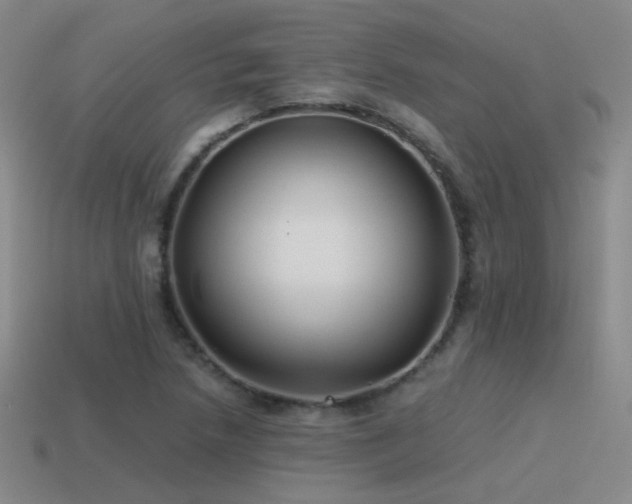 X0000115481218200911061211
