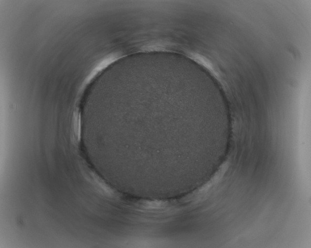 X0000115481219200911061211