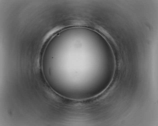 X0000115481222200911061211