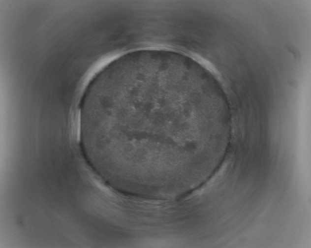 X0000115481223200911061211
