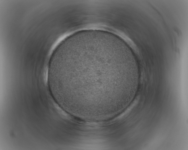 X0000115481224200911061211