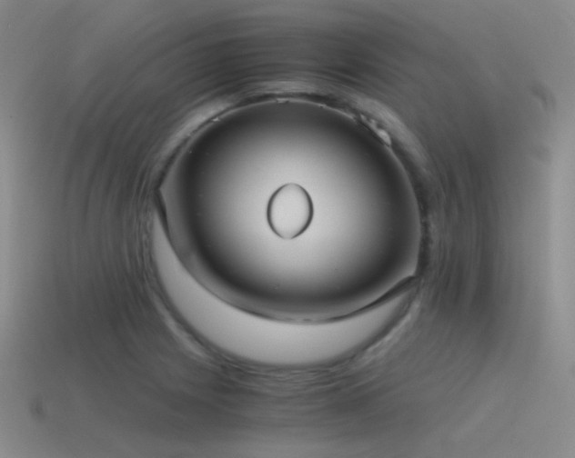 X0000115481225200911061211