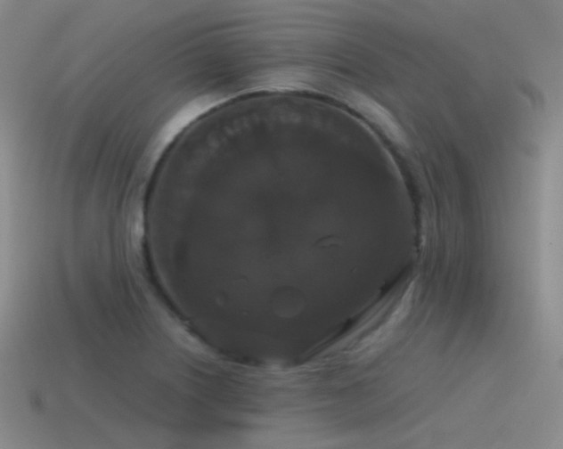 X0000115481226200911061211