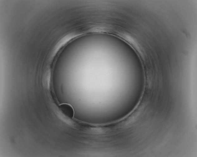 X0000115481227200911061211