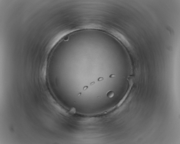 X0000115481228200911061211