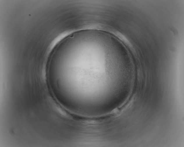 X0000115481230200911061211