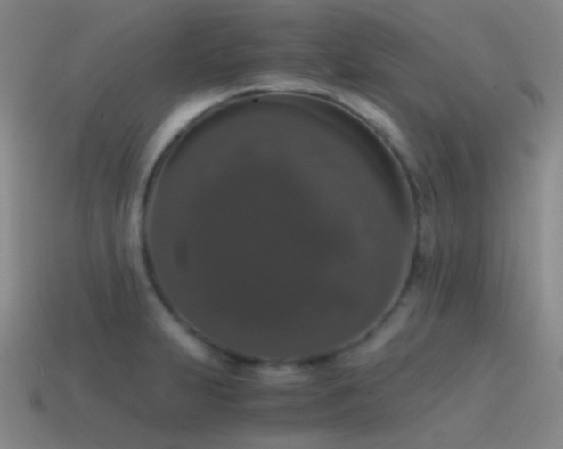 X0000115481231200911061211