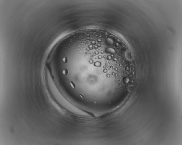 X0000115481235200911061211