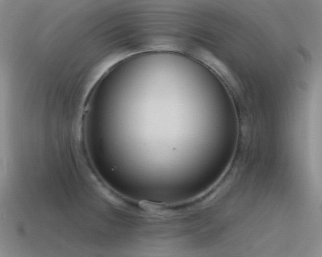 X0000115481236200911061211