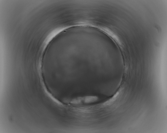 X0000115481239200911061211