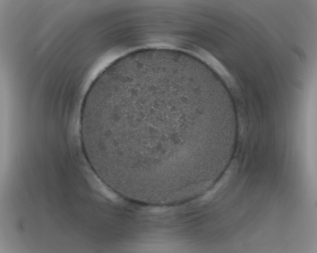 X0000115481240200911061211