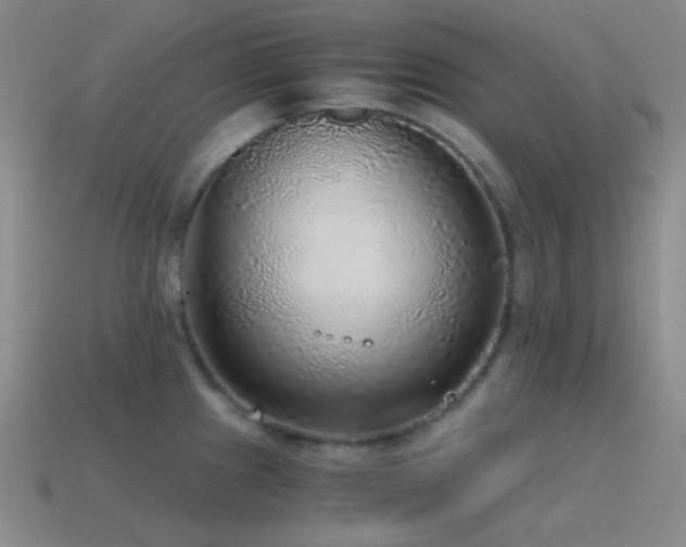 X0000115481241200911061211