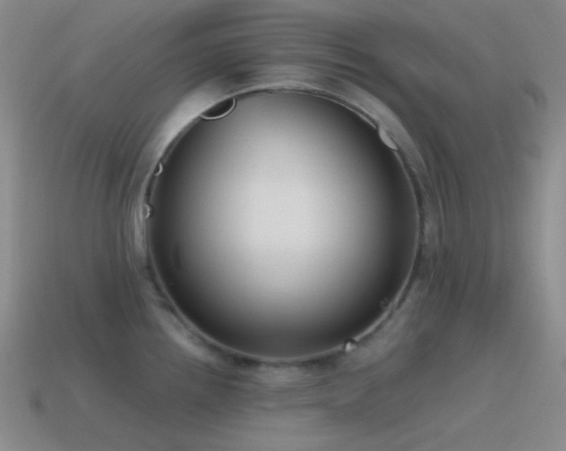 X0000115481242200911061211