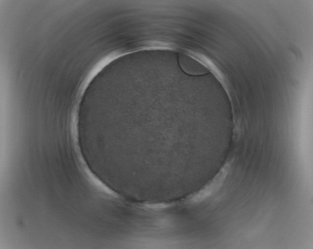 X0000115481243200911061211