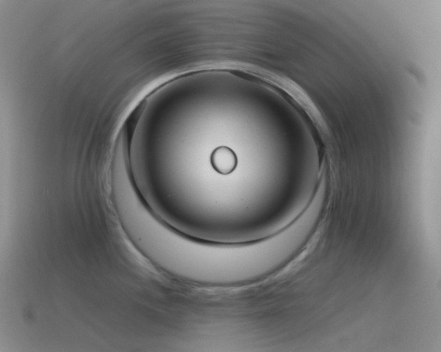 X0000115481244200911061211