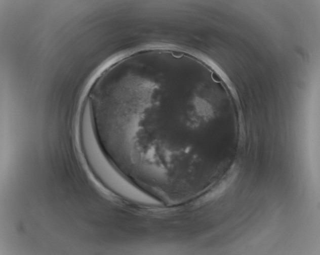 X0000115481245200911061211