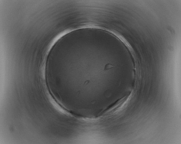 X0000115481246200911061211
