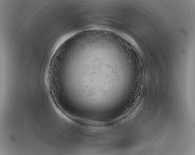 X0000115481247200911061211