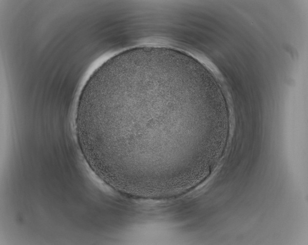 X0000115481248200911061211