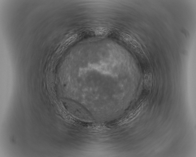 X0000115481249200911061210