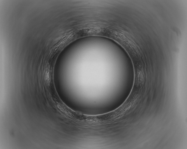 X0000115481250200911061210