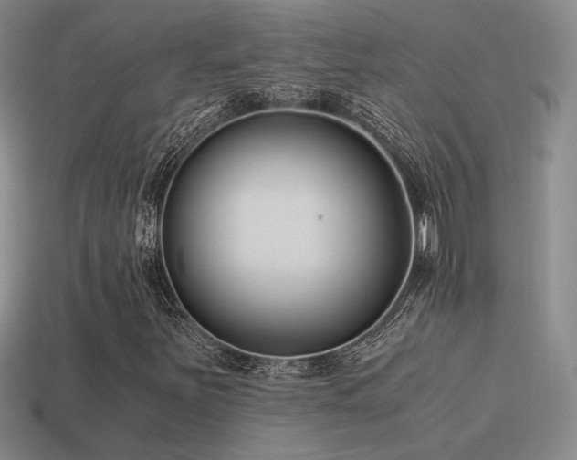 X0000115481251200911061210