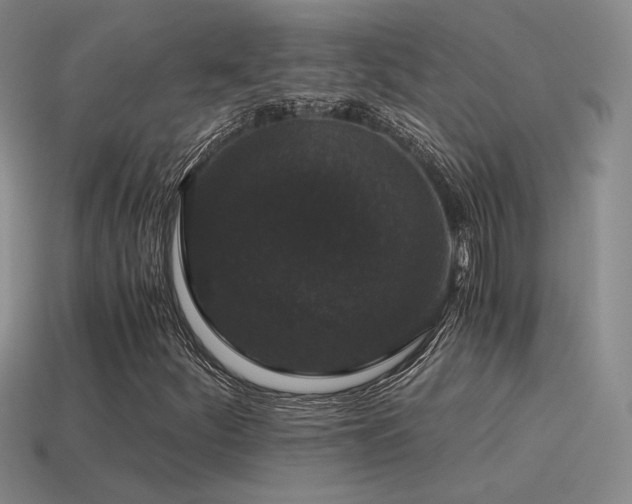 X0000115481252200911061210