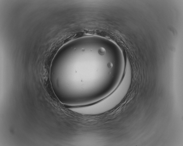 X0000115481253200911061210
