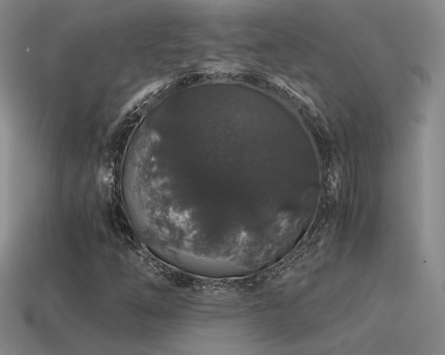 X0000115481254200911061210