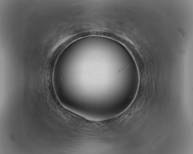 X0000115481255200911061210