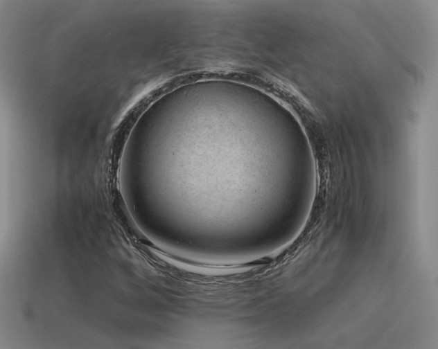 X0000115481256200911061210