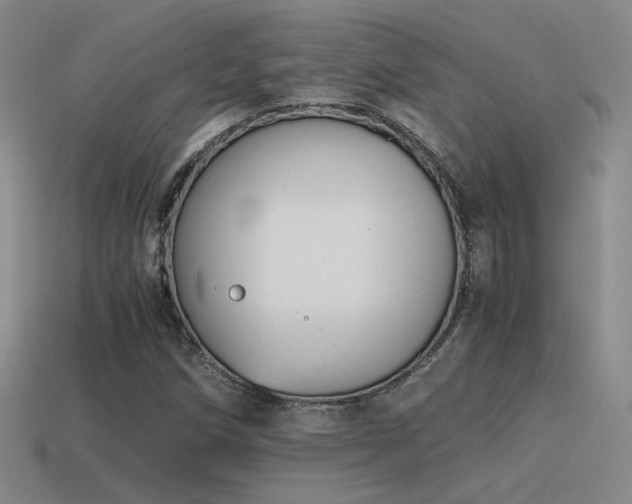 X0000115481258200911061210