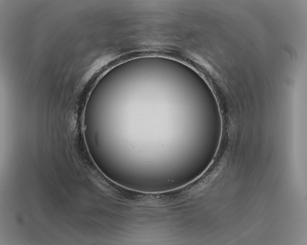 X0000115481259200911061210