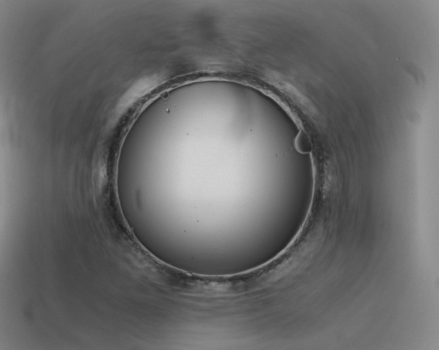 X0000115481261200911061210