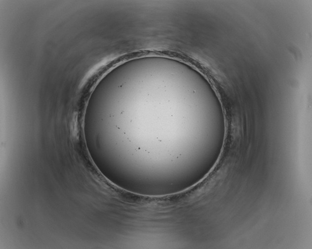 X0000115481262200911061210