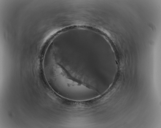 X0000115481263200911061210