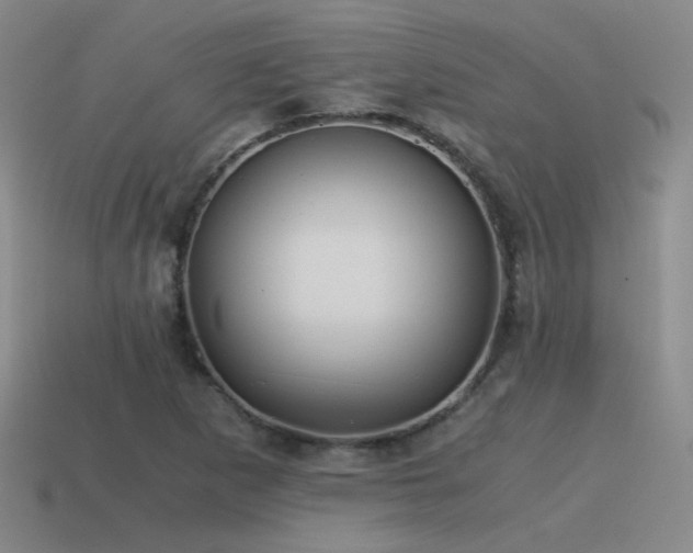 X0000115481265200911061210