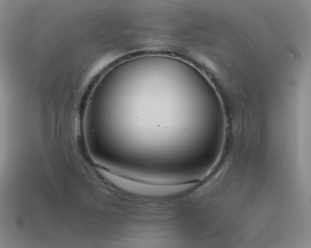 X0000115481267200911061210