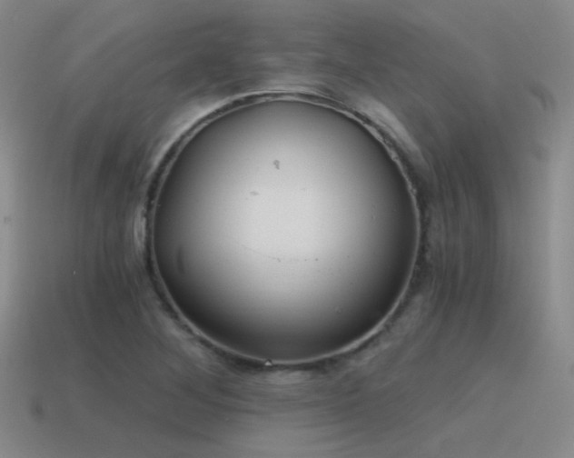 X0000115481268200911061210