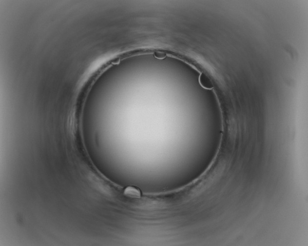 X0000115481270200911061210
