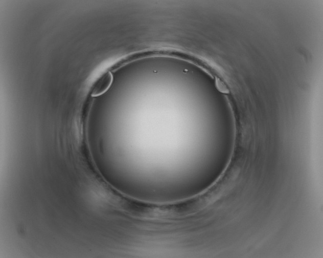 X0000115481271200911061210