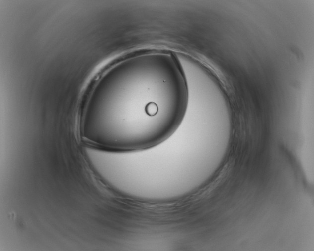 X0000115481272200911061210