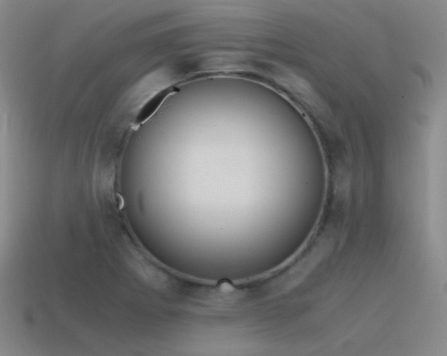 X0000115481273200911061210